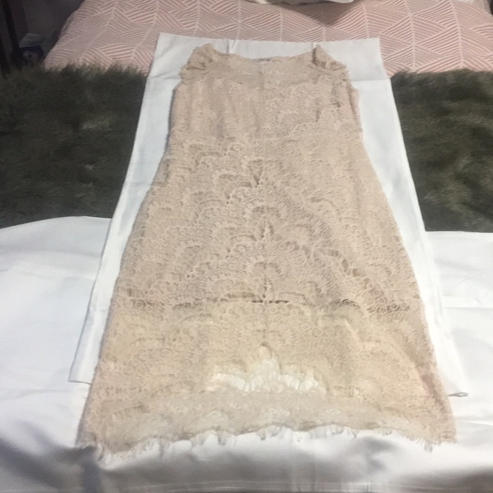 Beautiful blush lace Free People Dress!